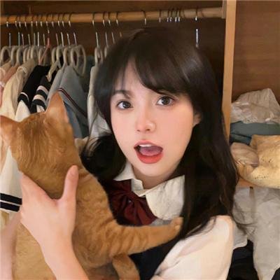 狄公灭鼠